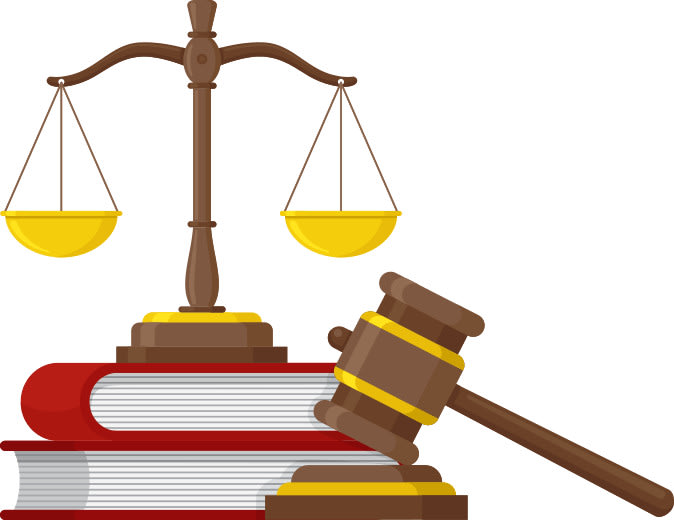 be your legal adviser,lawyer,attorney
