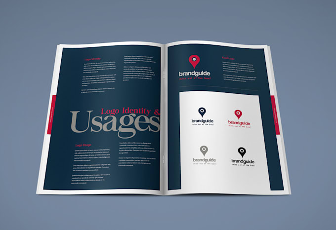 create a professional brand book and  brand style guides