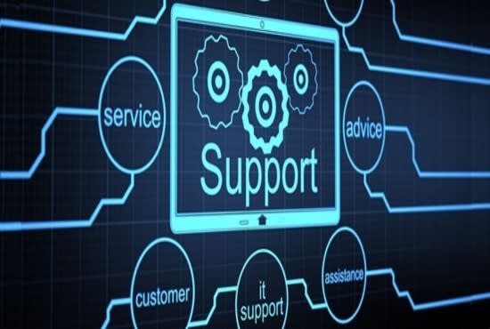 provide remote IT support