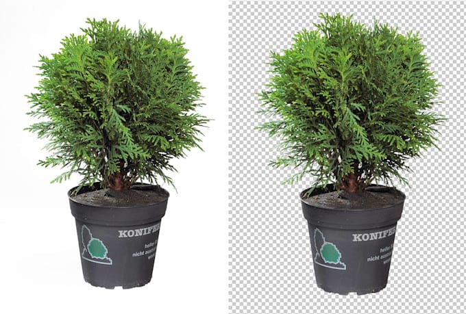 do 200 photo background removal