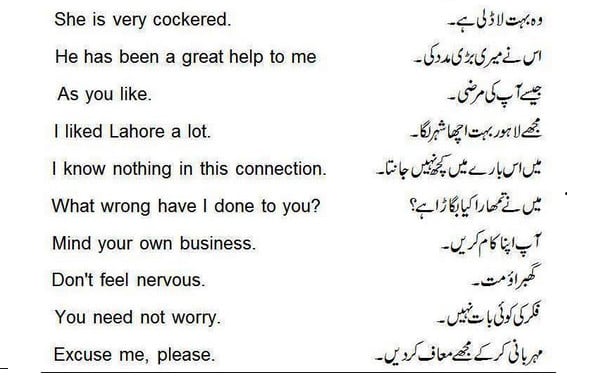 Translate Urdu Text To English By Hamzahmad47