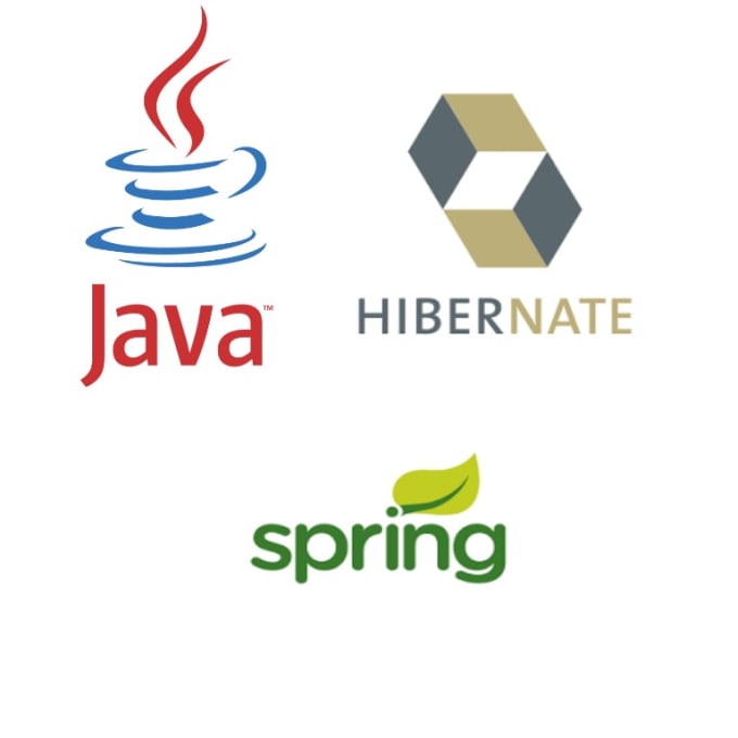 teach java spring hibernate nodejs and javascript