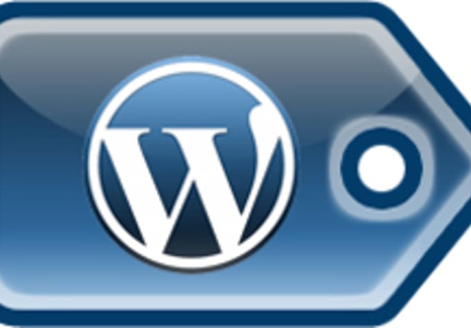 setup, install, fix wordpress related errors etc