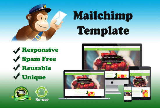 design a responsive newsletter template