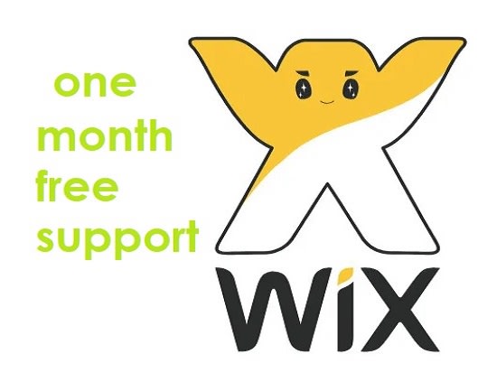 design and redesign wix website with one month free support