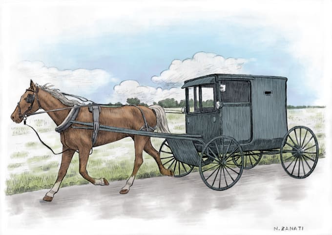 draw pencil illustrations vintage style