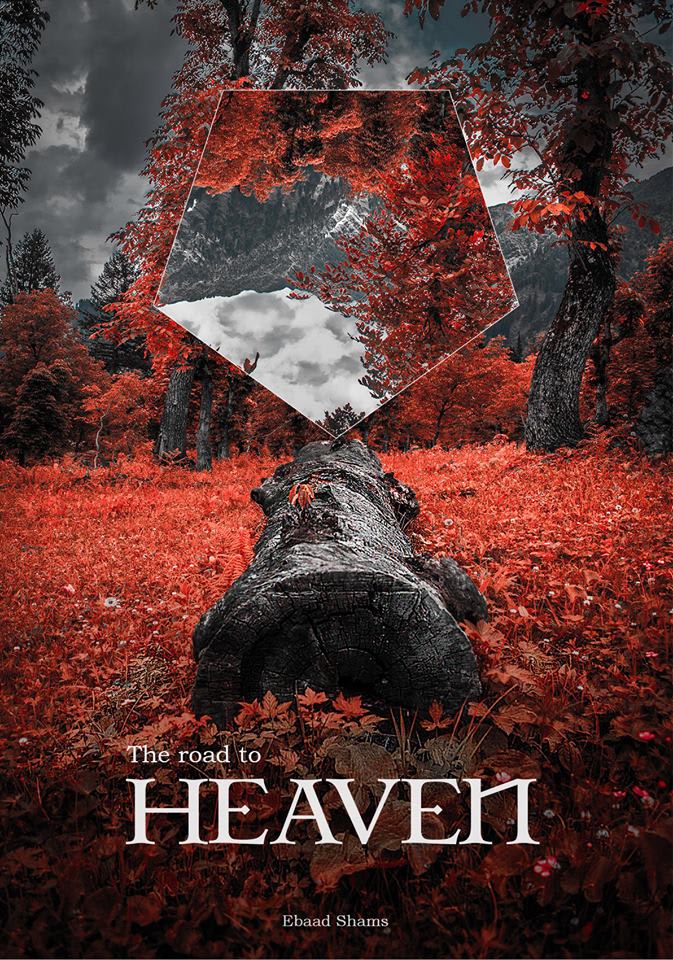 design premium book covers for KDP, ingramspark, and paperback