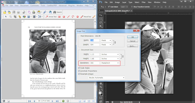 convert pdf to jpg