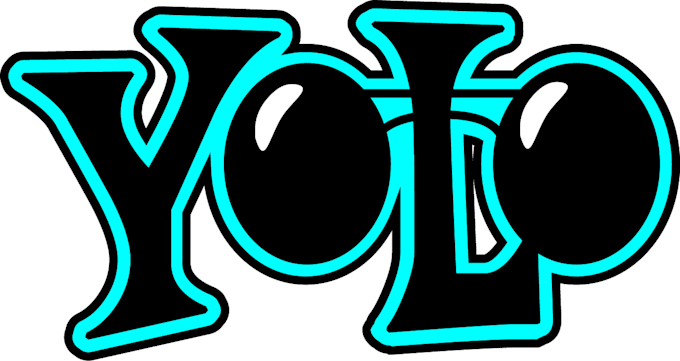 train your yolo object detection dataset for you