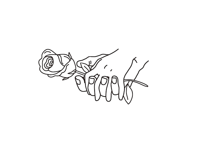 make a custom line illustration