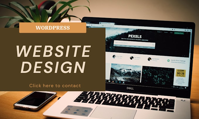 provide complete cms or website