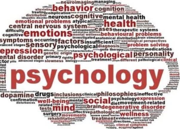 Work on all your psychology and creative writing tasks by Writerkev