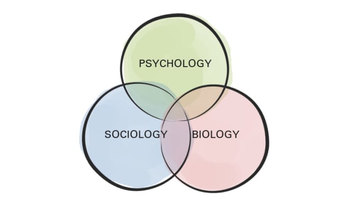 sociology and philosophy
