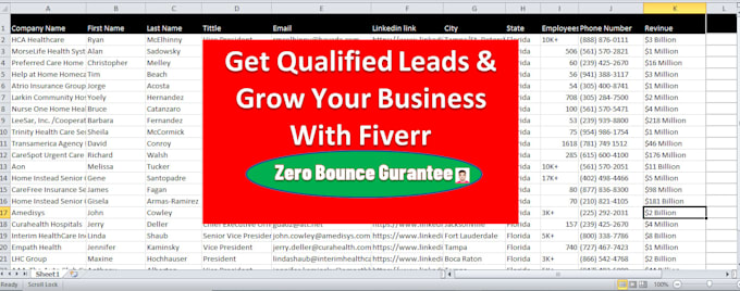 do  email lead list, contact list building, b2b prospect list,b2blead generation