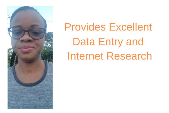 do excellent data entry