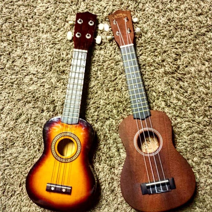 Teach ukulele lessons beginner to intermediate by Nickpugliesi Fiverr