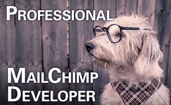 Custom code your email template design for mailchimp