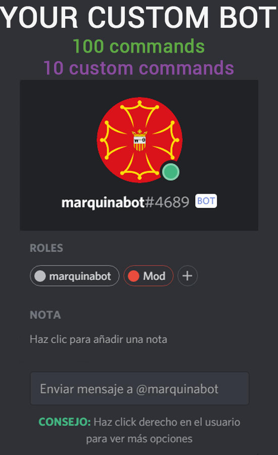 Create A Discord Bot For Your Server By Gerardmarquina
