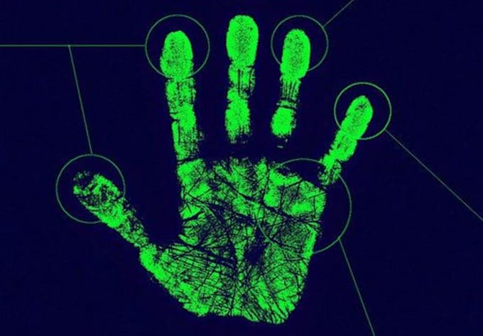 read your PALM and teach you how to read palms