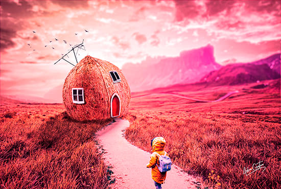 do professionally photo manipulation or any photoshop editing professionally