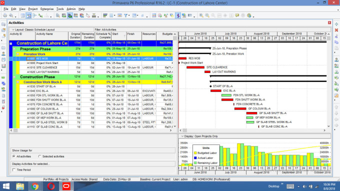 Create Project Plansschedule And Gantt Chart Using Primavera P6 By 8242