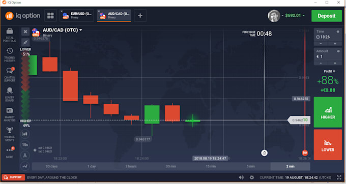Programmer making binary option robot