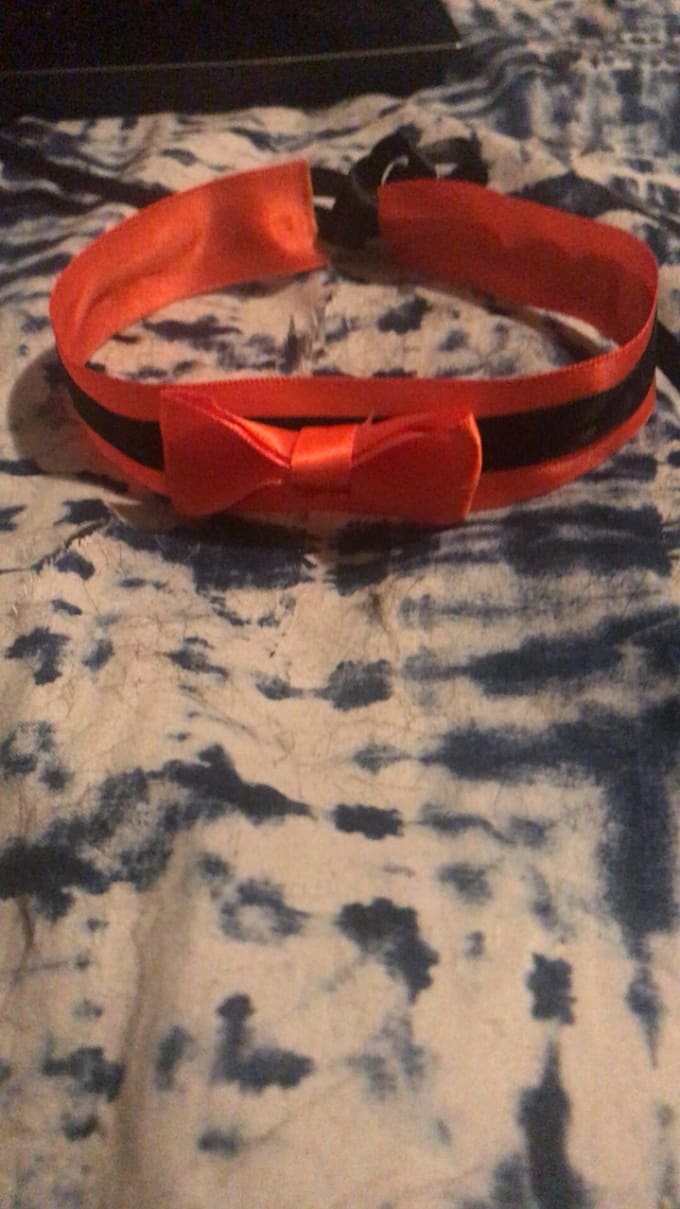 Custom kitten play collar cheap