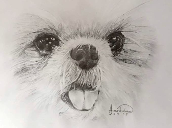 Create A Hand Drawn Photo Realistic Pencil Sketch Of You By