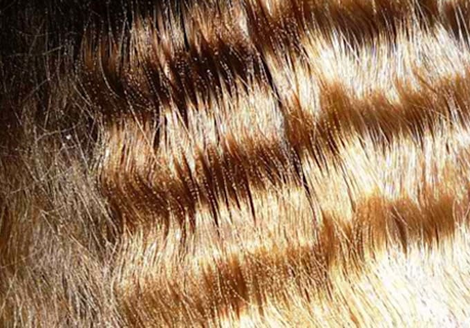 Show You How To Crimp Your Hair Using A Curlign Iron By Yesbeautybuddy