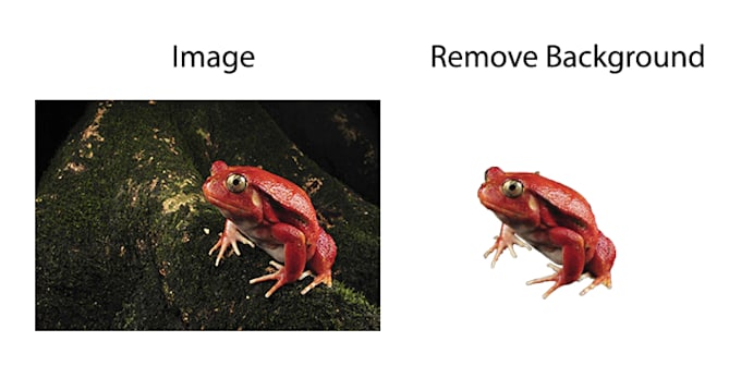 remove background,add reflection,retouch your image