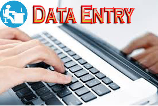 do data entry a any kind of article in computer