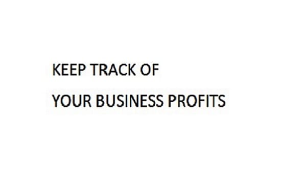 provide a spreadsheet for tracking business profits