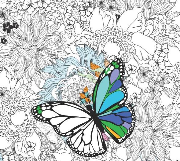 Create adult coloring book complete with ecover by Facebookppc Fiverr