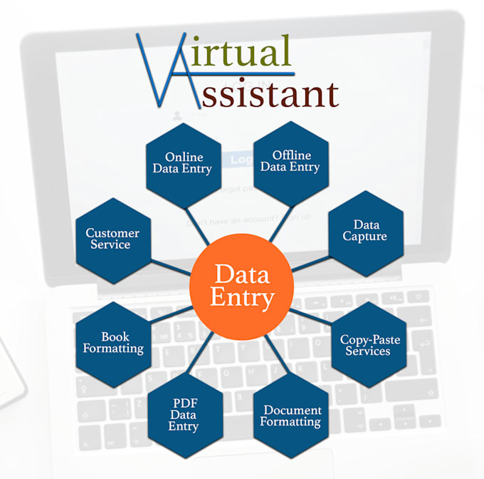 provide data entry and virtual assistance support