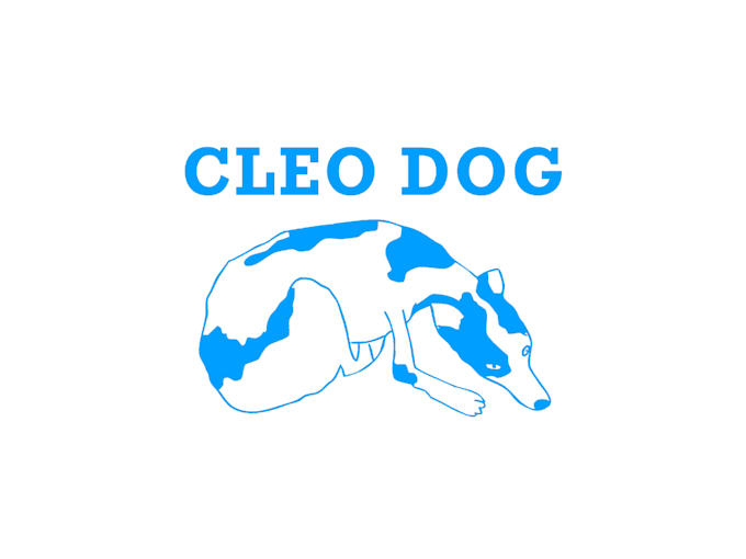 create a hand drawn micro animated video