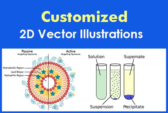 Draw educational, science diagrams, illustrations, 2d vector by Grafixo ...