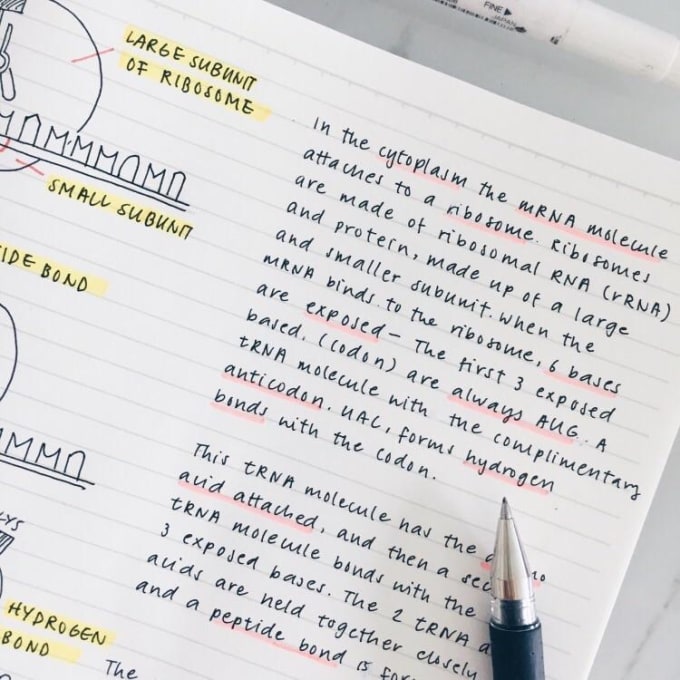 Convert your handwritten notes to text by Elissahawke | Fiverr