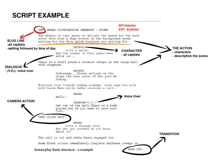 Write A Script For A Video By Laurafeetterers