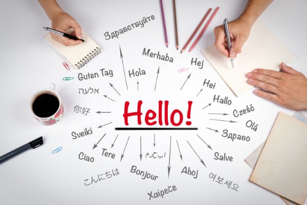 translation  polyglotte bilingue plurilingue