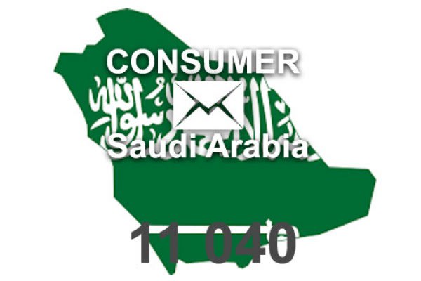 2022 fresh updated saudi arabia 8k consumer email database
