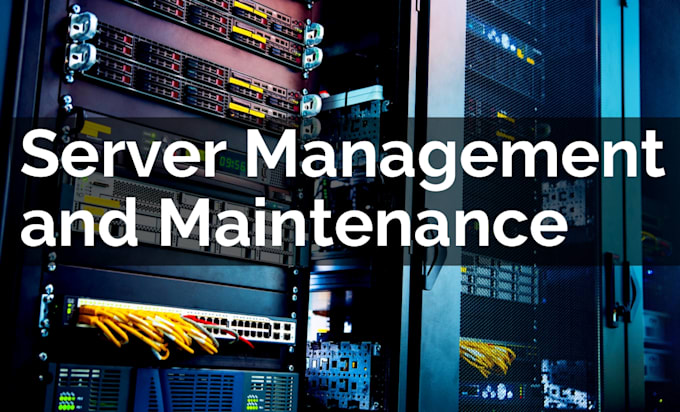 provide monthly server security, maintenance, and backup