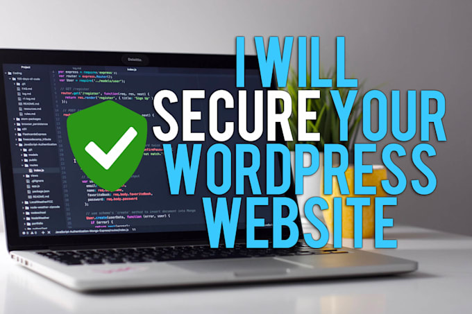 secure your wordpress website professionally 250 USD value