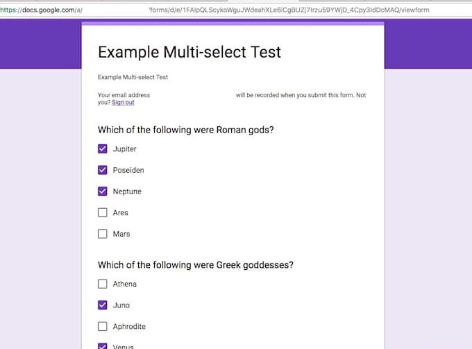 Make You A Form To Your Questionnaire By Tal796 Fiverr