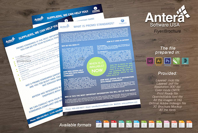 design a professional flier or brochure for you