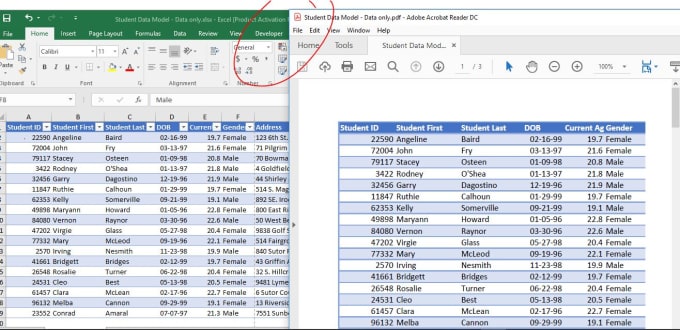 Convert Pdf To Excel Word Excel To Pdf By Nh Santo Fiverr