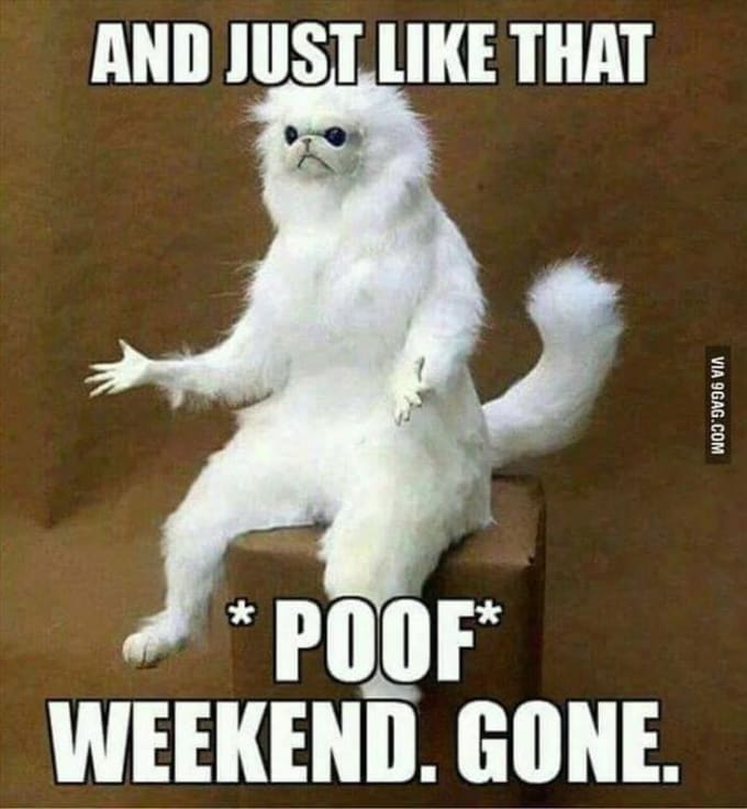 Send You 10 Really Funny Pictures By Coachgaming Fiverr Send You 10 Really Funny Pictures By Coachgaming Fiverr