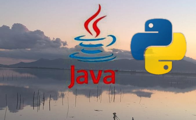 As a backend developer i can help you with python and java