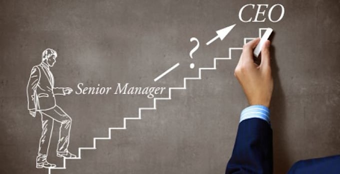 write a CEO executive resume,cv, cover letter