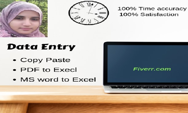 do data entry or copy paste work  for 3 hours