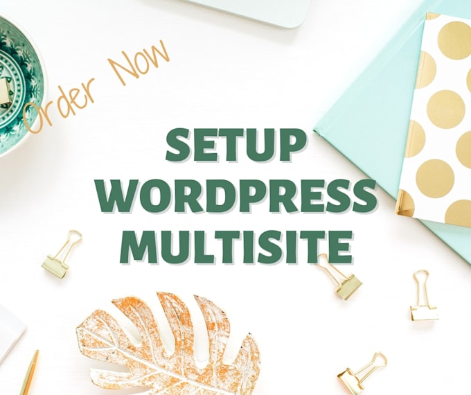 setup wordpress multisite network for you